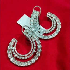 Chic Silver Hoop Earrings